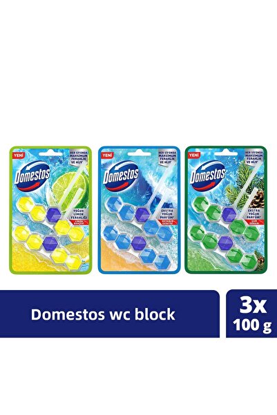 Domestos Toaletă Bloc Lemon Garden 100 g X1 Ocean Breeze 100 g X1 Pine Forest...