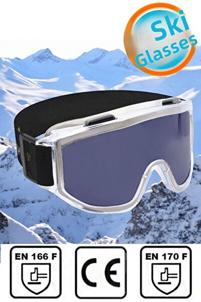 NZB Ski Goggles Sun Snow Glasses Smoked Snowboard Glasses Economic Glasses