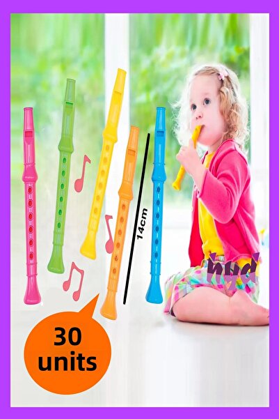 Hyd 30 Pcs Toy Colorful Plastic Mini Flute Musical Instrument 14cm Preschool Birthday Karne Gift