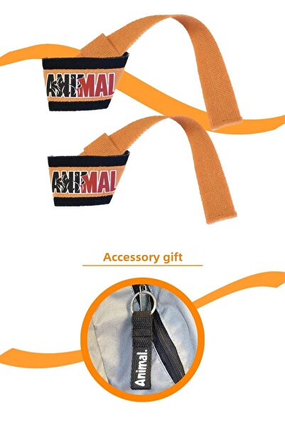 E-HSPORT حزام وزن الحيوان ستارب وسلسلة المفاتيح