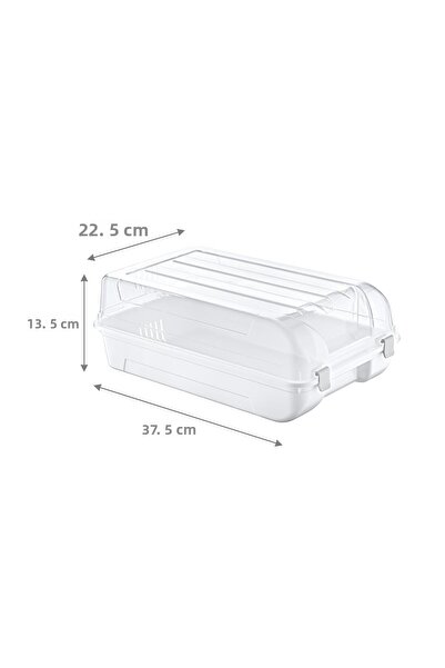 Smartware Set of 10 Men's White Shoes Box