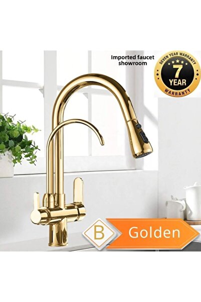 OEM New Design Kitchen Sink Faucet - Dual Flow, Water Purifier Outlet, Gold Sprinkler, 7 Years Warranty