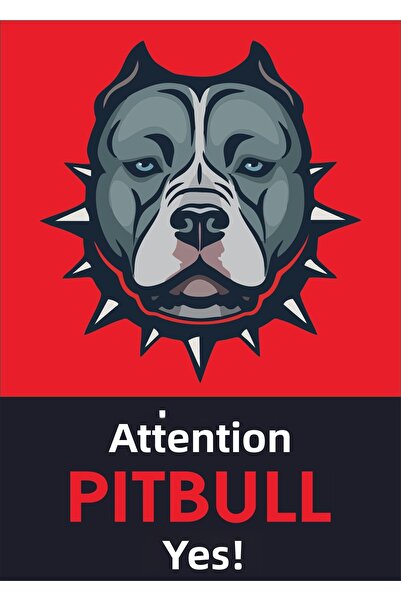Bull's Attention Pitbull Present (50X70)