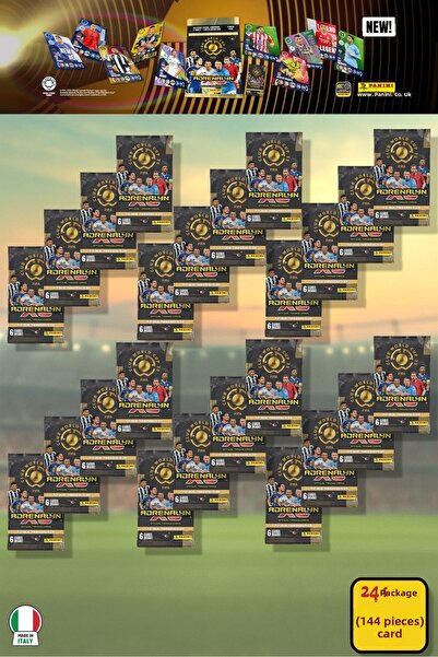 TOYFEST Panini Club World Cup 25 Footballer Cards - Pack of 24 (144 Cards)