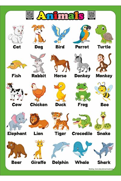 Okuling Preschool - Primary School English Poster Set - With QR Code / Voice Over