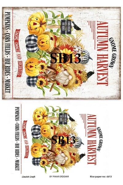 LİNEART ورق خطي منقوش بالنحاس - 29x42، رقم: SB13