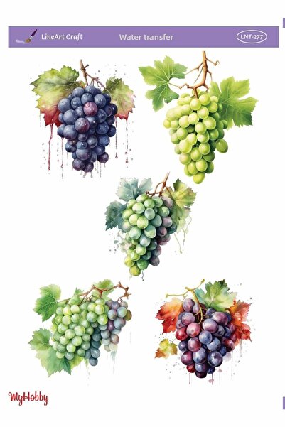 MyHobby LNT-277 25x35 نقل نمط العنب العصير