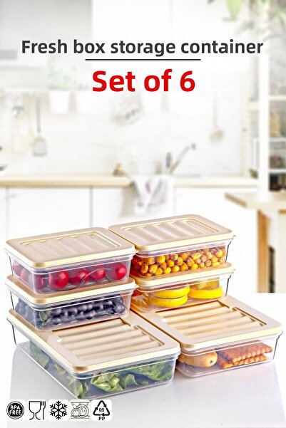 Open Home Concept Freshbox Set of 6 - Storage Container Suitable for Microwave and Diffuser 2-X2 1.2 Lt/X4 0.6 Lt Cream