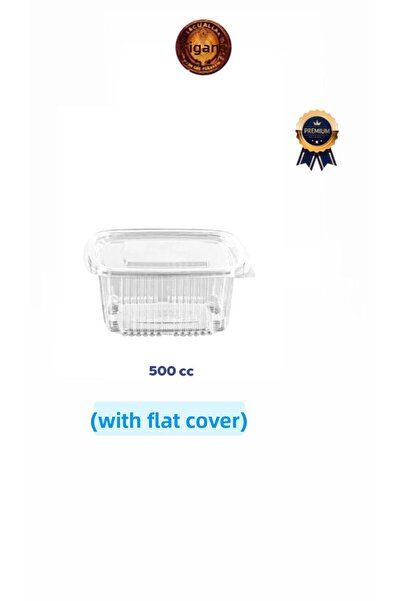 figanlar ambalaj 500Cc Deep Leak Proof Plastic Container with Self Lid 50 Pcs