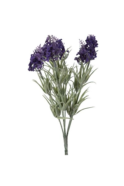 Genel Markalar LAVANTA DEMETİ 33CM