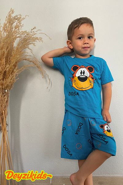 Deyzikids Printed T-Shirt Kids Girls and Boys Tracksuit Set Cute and Cool Casual T-Shirt and Bottom Top 2-5 Years