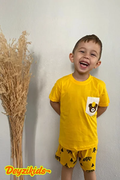 Deyzikids Printed T-Shirt Kids Girls and Boys Tracksuit Set Cute and Cool Casual T-Shirt and Bottom Top 2-5 Years