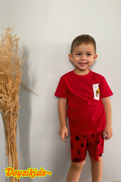 Deyzikids Printed T-Shirt Kids Girls and Boys Tracksuit Set Cute and Cool Casual T-Shirt and Bottom Top 2-5 Years