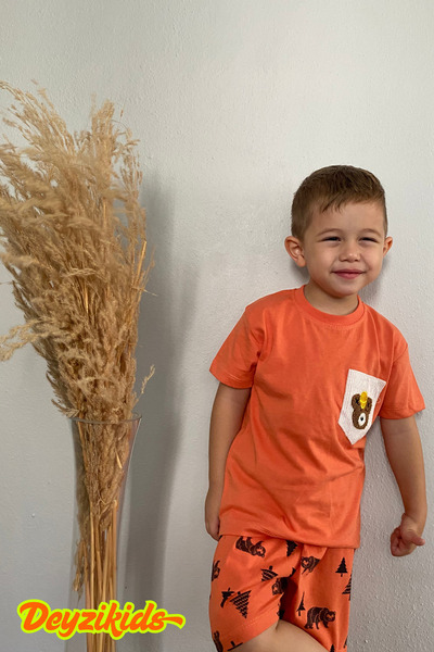 Deyzikids Printed T-Shirt Kids Girls and Boys Tracksuit Set Cute and Cool Casual T-Shirt and Bottom Top 2-5 Years