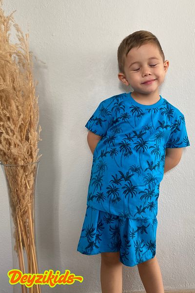 Deyzikids Printed T-Shirt Kids Girls and Boys Tracksuit Set Cute and Cool Casual T-Shirt and Bottom Top 2-5 Years