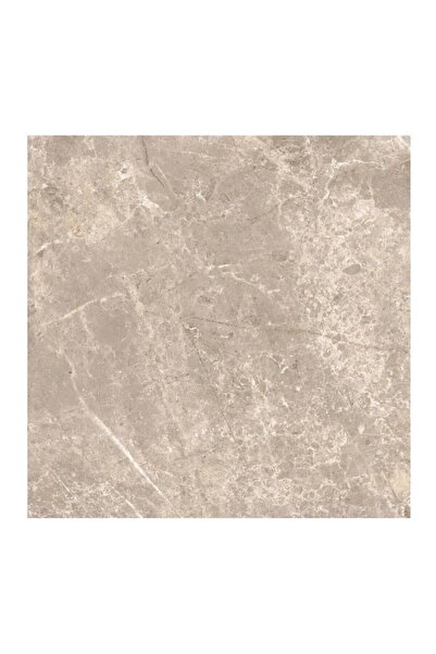 VitrA 60x60 Boscostone Vizon R10B K950383R0001VTE0