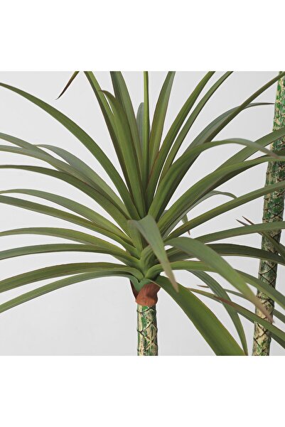 IKEA Yapay Kordilin Bitkisi 23 cm İç/Dış Mekan Salon-Balkon-Ofis Bitkisi