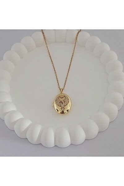 Ödül Moda 316 سلسلة قلادة من الفولاذ الذهبي لمدينة بعيدة مفتوحة على شكل فينيك...