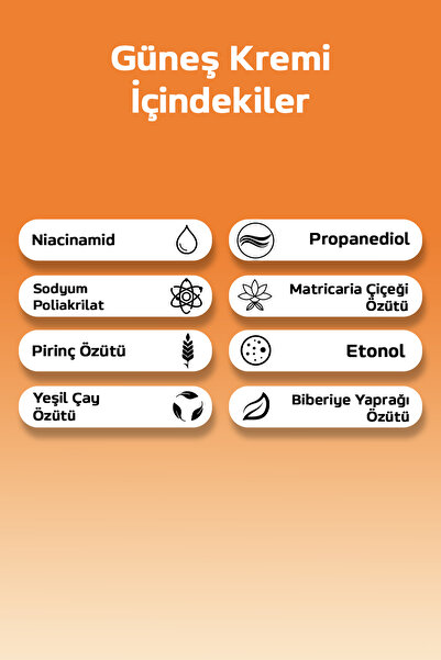 Shionle İkili Spf50 Su Bazlı Kore Güneş Kremi, Serinletici Etkili Kore Güneş Koruyucu Krem