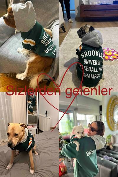 salya store Köpek Kıyafeti, Sahipler Için Yeşil Brooklyn Hoodie, Bol Kalıp, Köpek Sahipleri Için