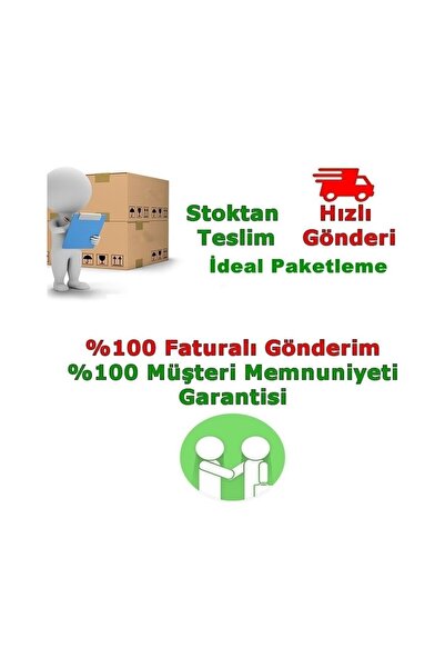 Mevsim Fidancılık Yeşil Taflan Fidanı - Euonymus Japonıcus 10-20 cm