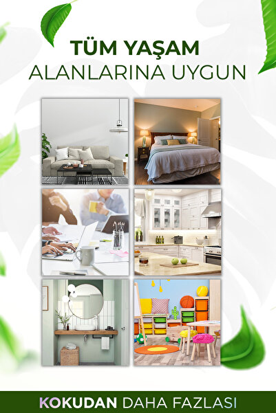 AURAN Yeşil Çay Çubuklu Oda ve Ortam Kokusu Yedek Dolum Kiti Yedek Şişe Green Tea Refill 250ml