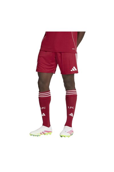 adidas Jv6425-E Lfc Liverpool Fc 25-26 &amp; Ccedil; Saha Men's Shorts and Capri Burgundy