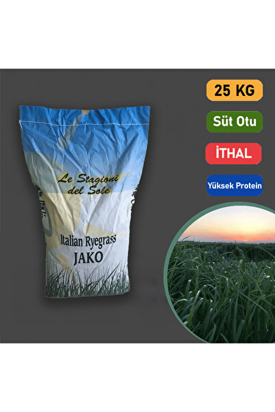 Le Stagioni İthal Rye Grass, Reygras Otu, Italyan Çimi (süt Otu) Tohumu 25 Kg