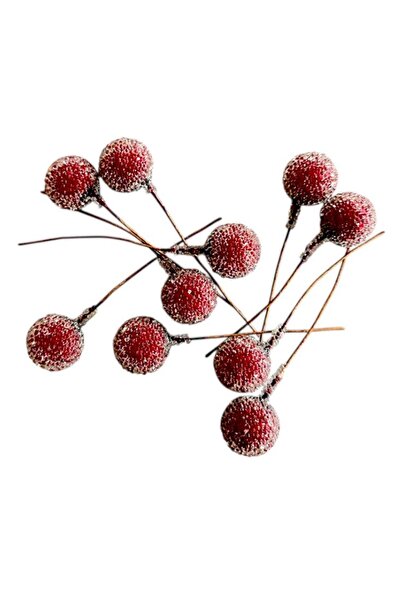 mutlu adım 10 Adet 1,4cm Buzlu Berry Yapay Kokina Dekor