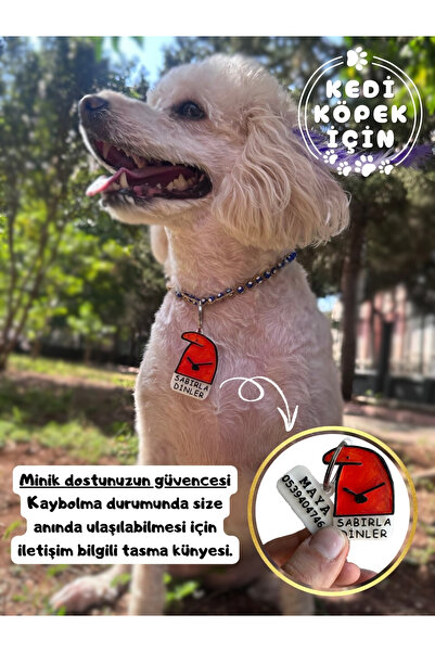 Patimin İzleri İsime Özel Zilli Kedi Ve Köpek Künyesi Ve Kolyesi ( 2. Resmi Okuyun )