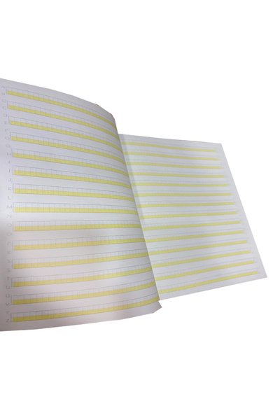 FLY COLOR Guideline Ruled Beauty Writing Notebook A4 New Curriculum 40 Sheets Plastic Cover