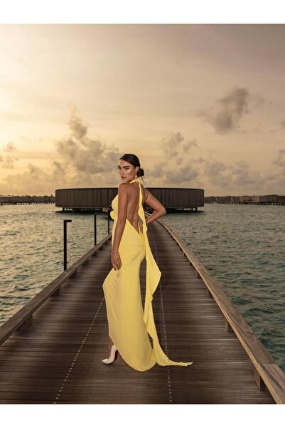 theanemos Gül Detaylı Sırt Dekolteki Maxi Sarı Elbise