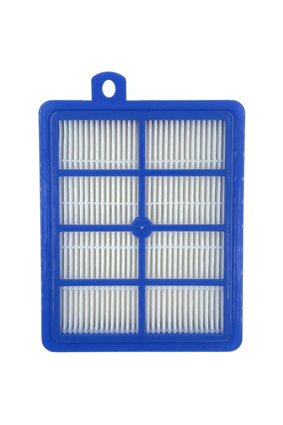 PAA-home Filtru compatibil cu aspiratoarele Philips FC9170, FC9064, FC9088, FC8038, FC9262, FC9071