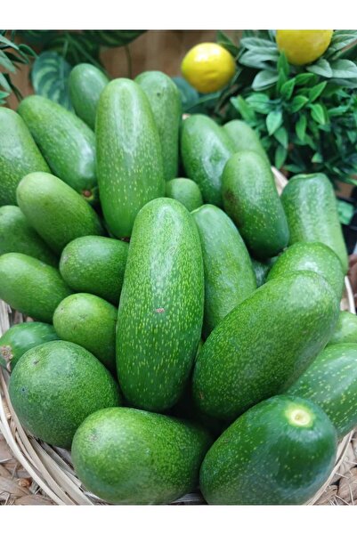 miralanya meyvecim Bebek Avokado 1kg