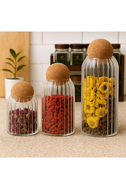 silvia home decor Glass Jar with Cork Ball Lid Set of 3