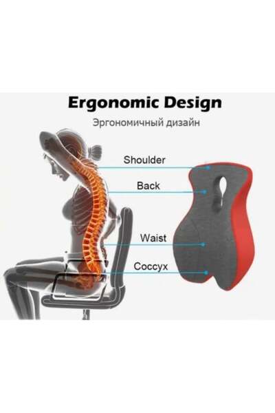 ALBAGSHI Medical Back Cushion 040239