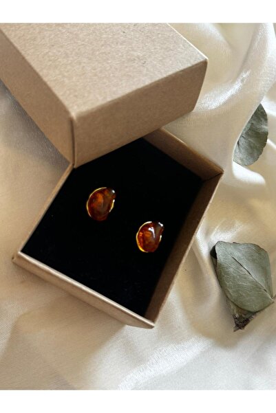 landofwomen MODERN KAHVERENGİ TAŞ KÜPE