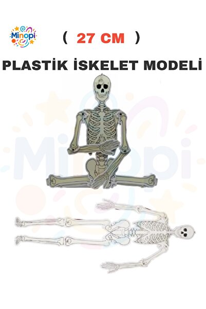 Minopi Hareketli İskelet Modeli Beyaz İskelet Modeli Deney Fen Hobi Tasarım