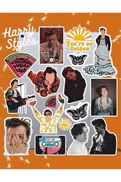 hediyenebak Harry Styles Sticker Set |   Laptop Agenda Notebook Tablet Phone Notebook Sticker Bullet Journal