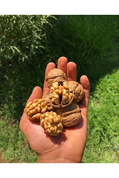 Generic 1000 grams American walnut halves