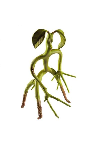 Noble Collection Fantastic Beasts Bowtruckle Figurine, 18 cm, Multicolor