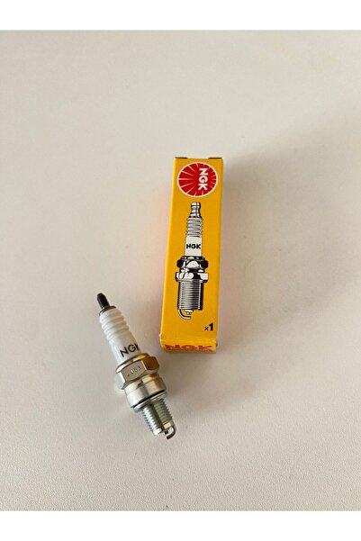 NGK Kuba Blueberry Bluebird (Karburatör) uyumlu NG;K Buji