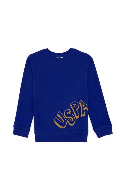 U.S. Polo Assn. Boy's Purple Basic Sweatshirt 50313979-Vr038