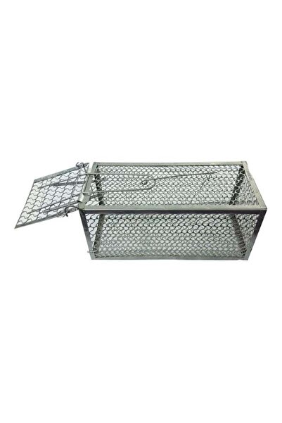 Eco Care Mouse Killer Trap - Silver