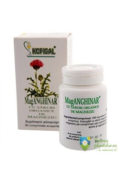 Hofigal MagAnghinar with Salts 60 Tablets