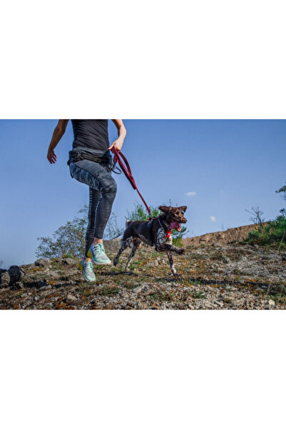 Julius K9 Șuncă JK9 Speed ​​- XL - Roșu