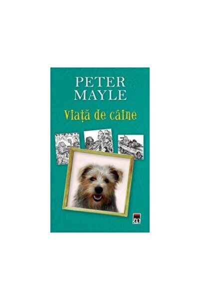 Editura Rao Books Viata de caine, Peter Mayle