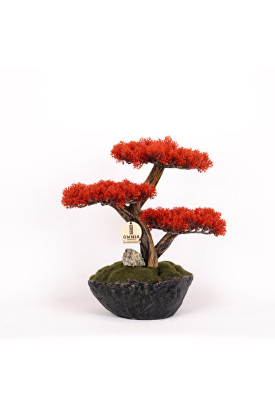 Omnia Concept Calipso Bonsai-6-1 Masaüstü Kullanıma Uygun Mini Yapay Bonsai A...