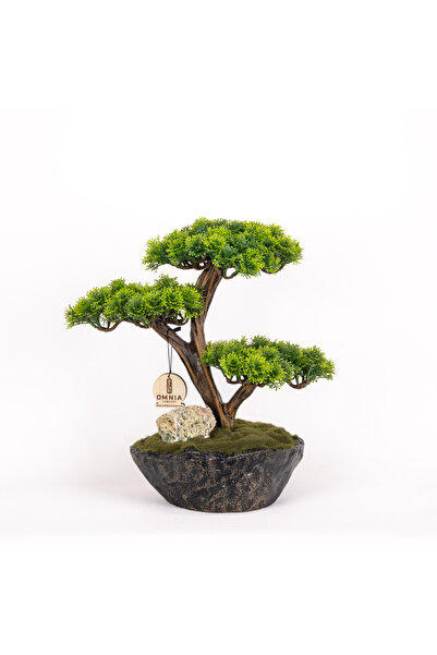 Omnia Concept Calipso Bonsai-7 Masaüstü Kullanıma Uygun Mini Yapay Bonsai Ağa...