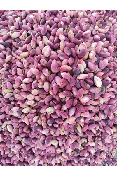 ŞİRE SANDIĞI Taze Fıstık 1KG